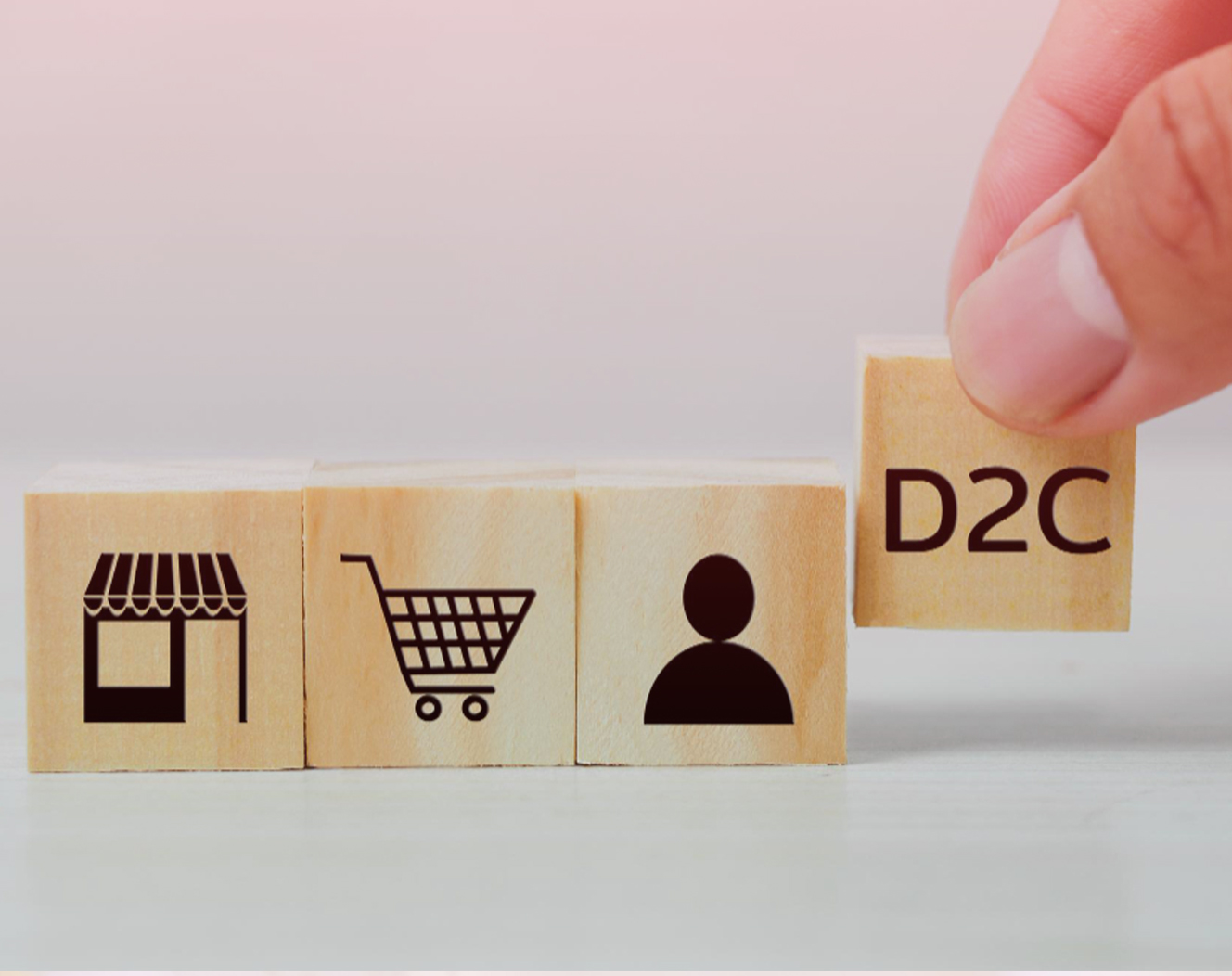 E-commerce & D2C Brands